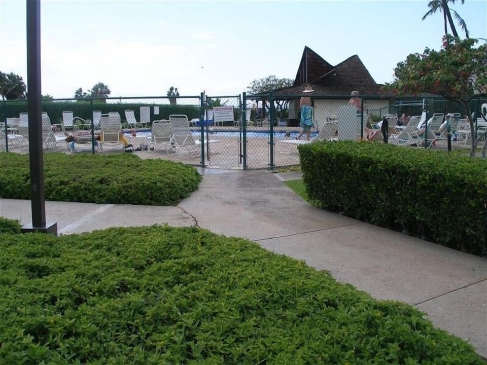 Lower Pool from BBQ area