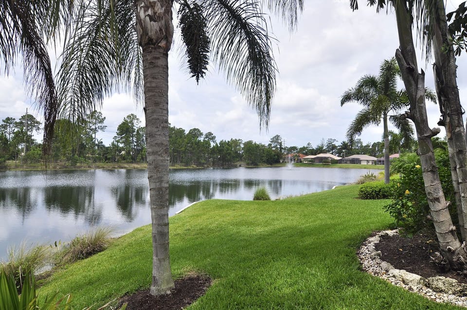 View of lake from behind house