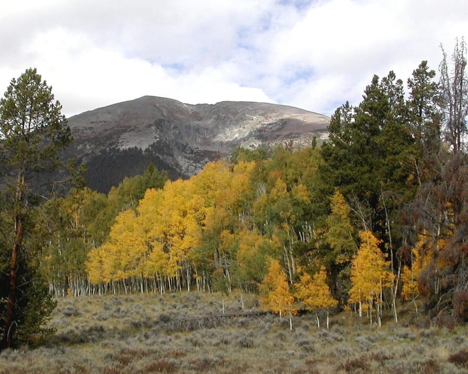 Buffalo Mountain in the fall