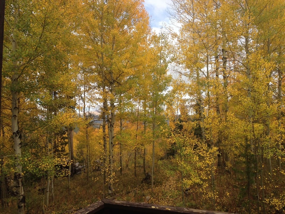 View from the back deck in fall