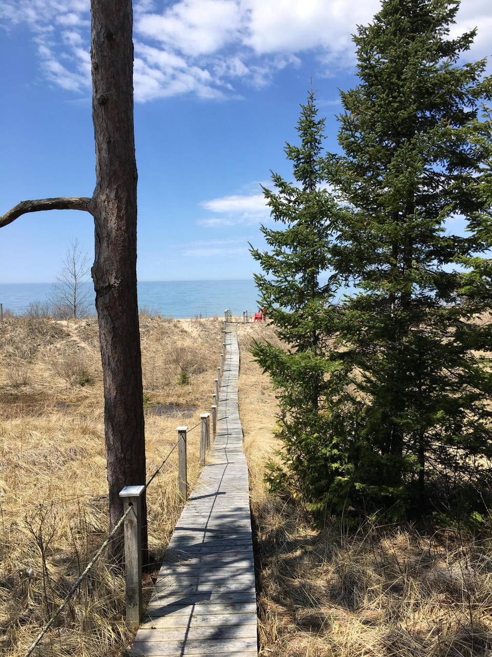 Nature, birds and other wildlife abound!
