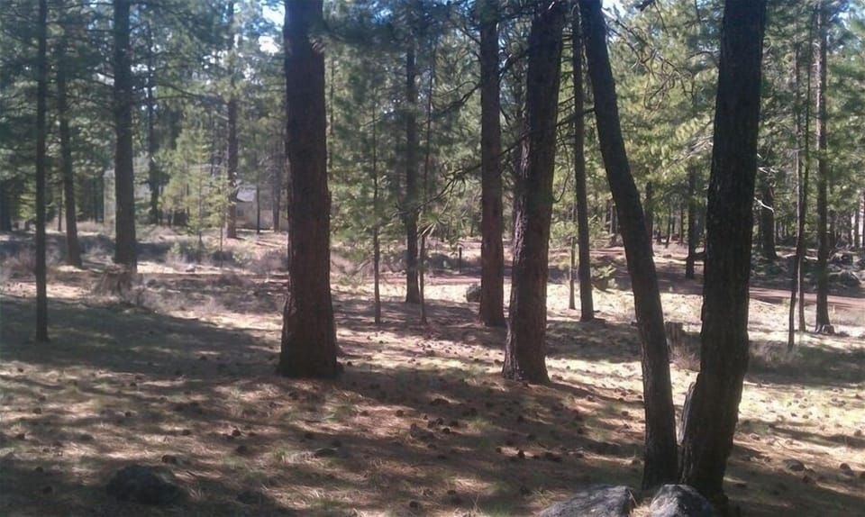 View from deck