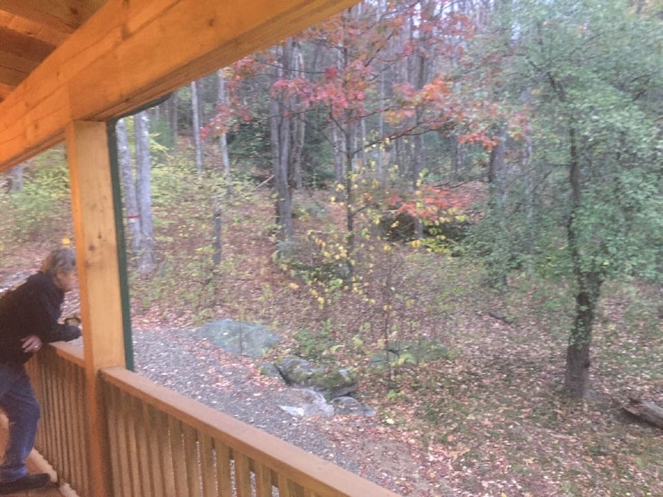 View from the side of the deck.  The forest is only steps away.  
