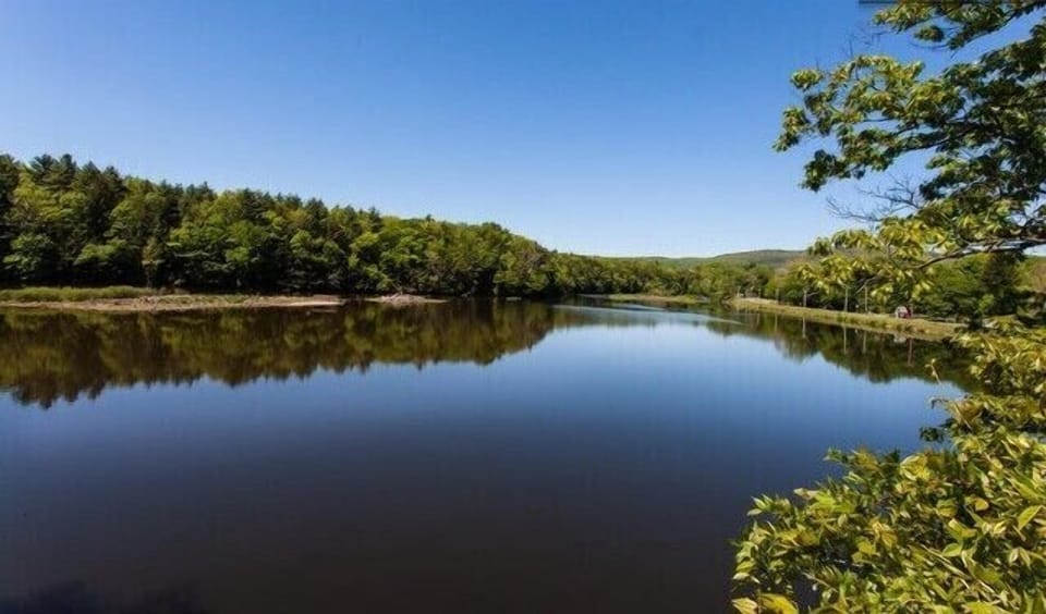 This is what you came for....