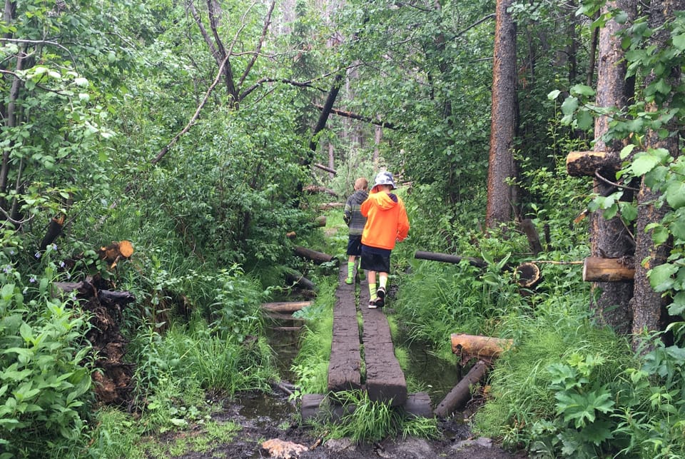 Hiking/Biking/Snowshoe/Cross Country trails right out the door