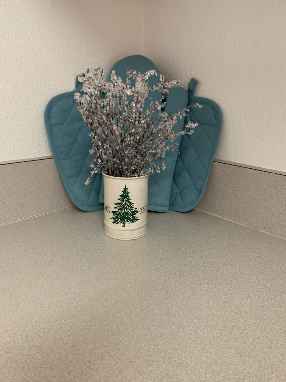 Kitchen detail