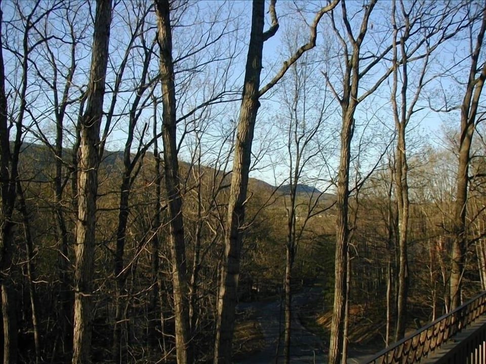 View from one of four decks