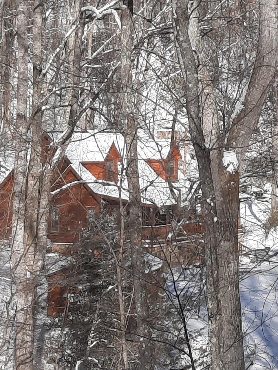 Cabin shot from hill above in snow 2022