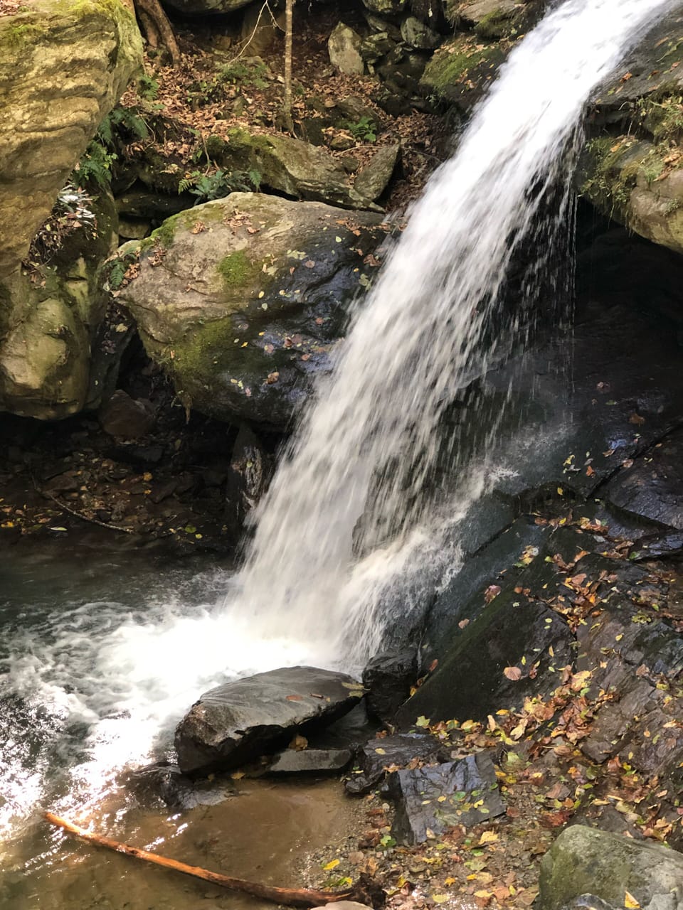It is a short walk to Otter Falls hiking trail from our home. 
