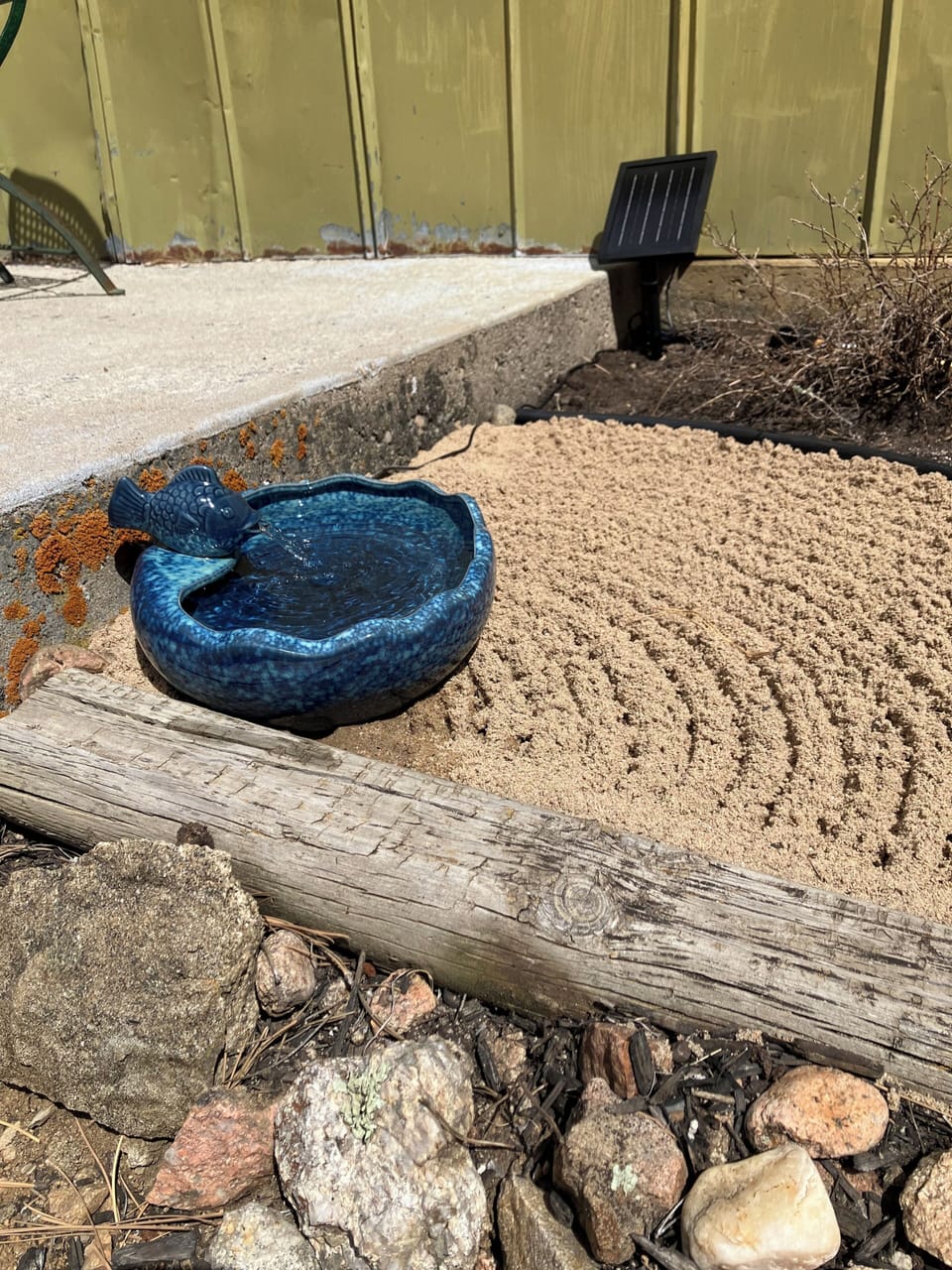 Water for birds and critters