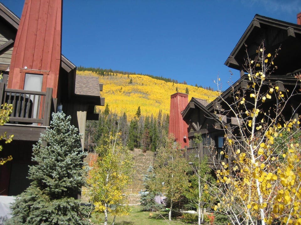 View of our back yard.