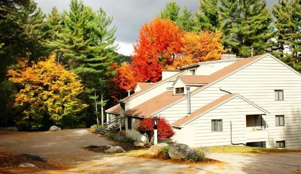 Fall view