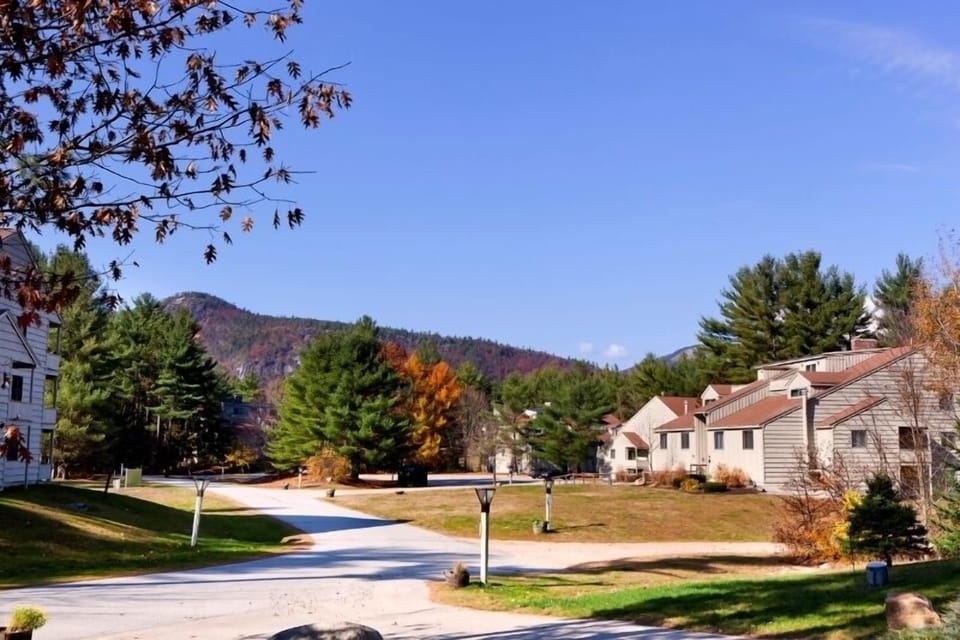 Fall View