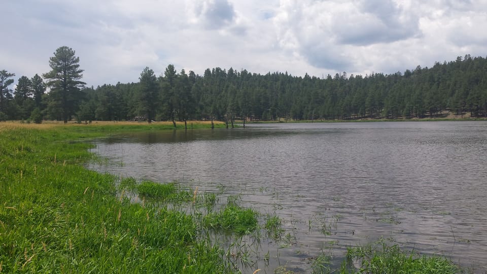 scholz lake, about 1 mile from home