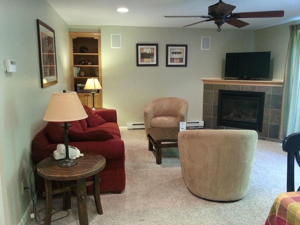 Living Area. Couch has a pullout bed