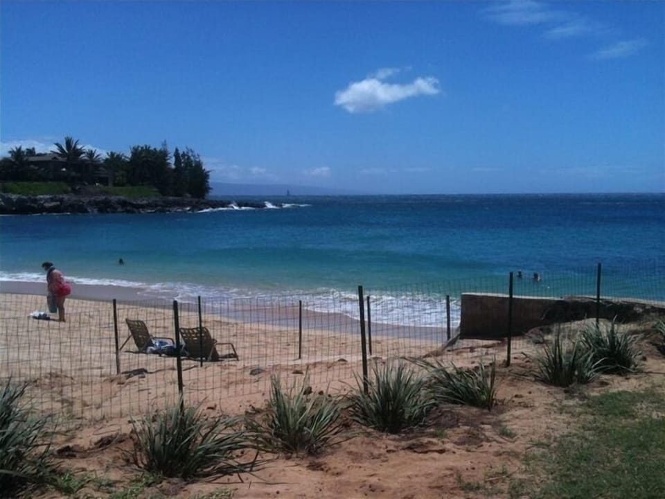 Our beach