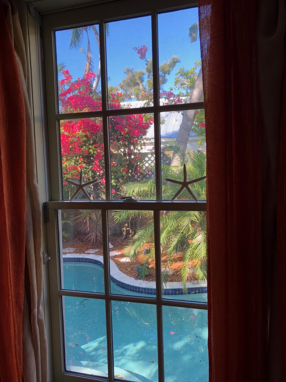 view from the pool room