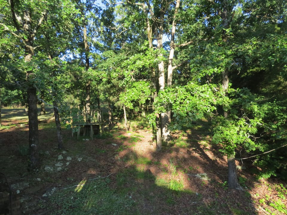small tree house build by Uncle Lonnie