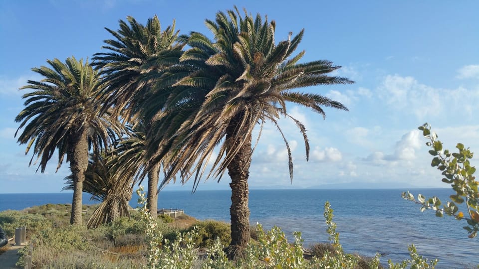 Trails along the Terranea Coast with amazing lookouts... watch for whales and dolphins..C