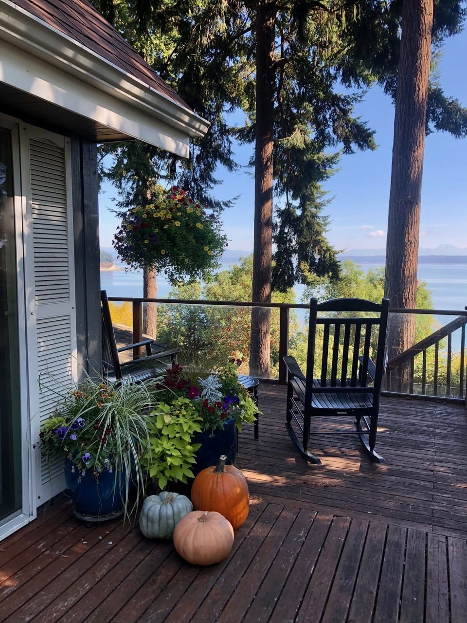 Fall at the cabin! 