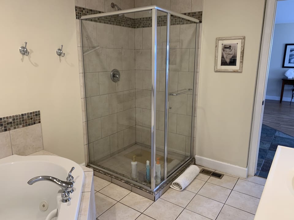 Downstairs bathroom shower
