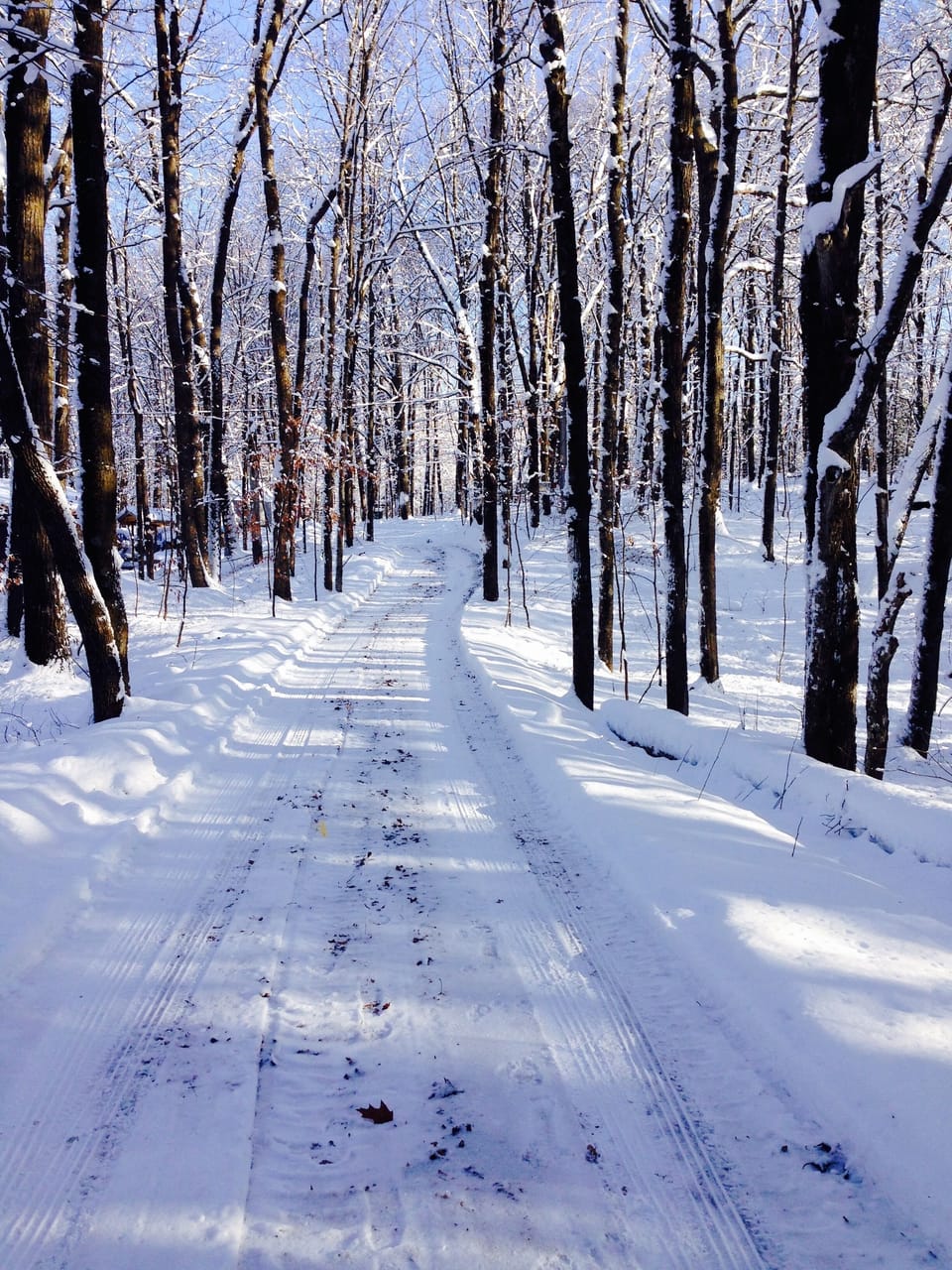winter driveway, light snow.