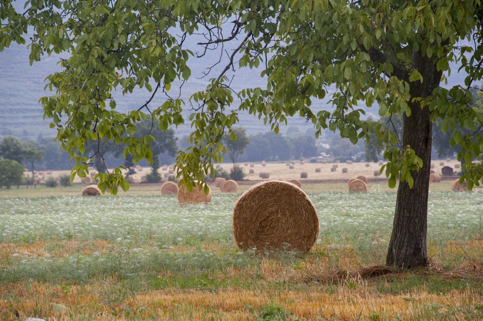 Surrounding Countryside
