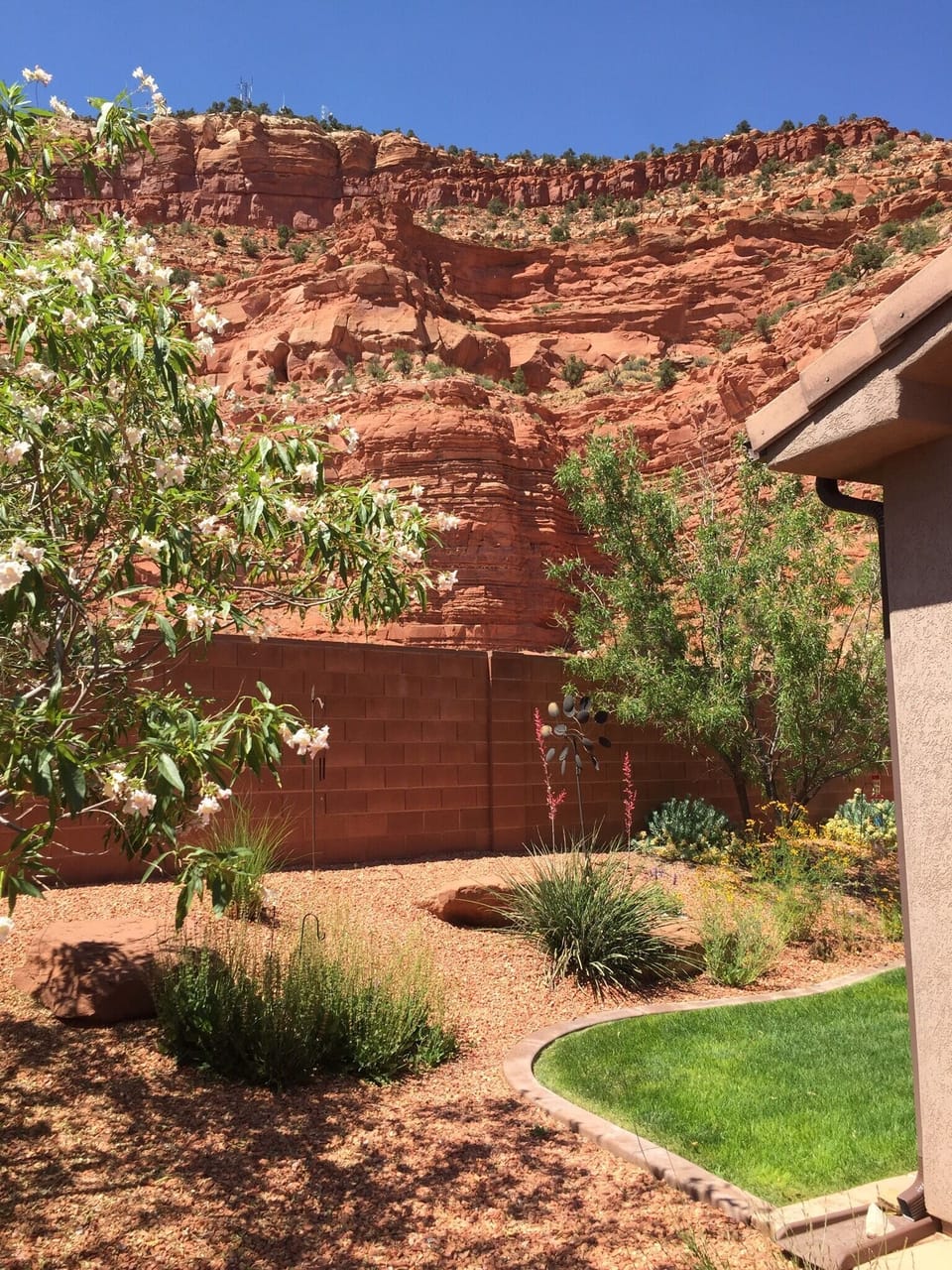 Backyard view of red cliffs