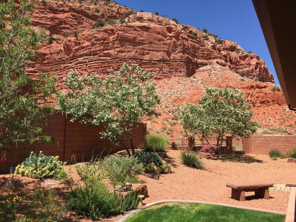 Backyard, overlooking the red cliffs behind the house.