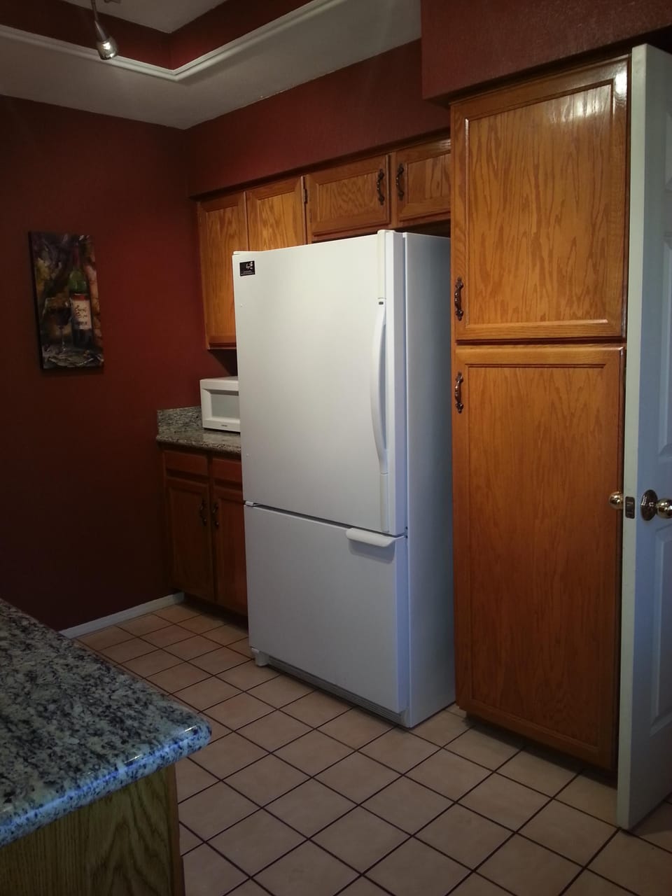 Kitchen - refrigerator and microwave