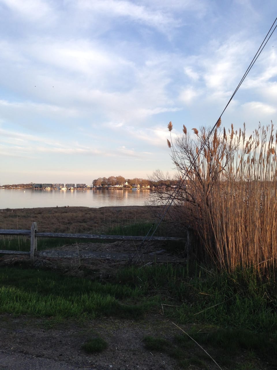 View from the neighborhood