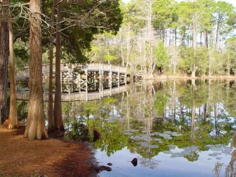 Pond with Walking Bridge 