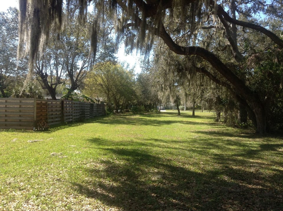West side of property bordering Arlington Park
