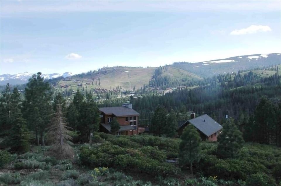 View from the back deck in summer
