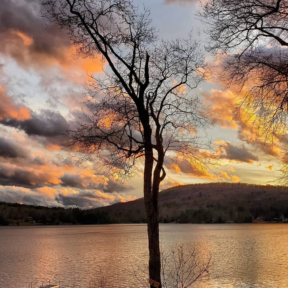 The maple tree in my front yard creates a frame for the view in any season.