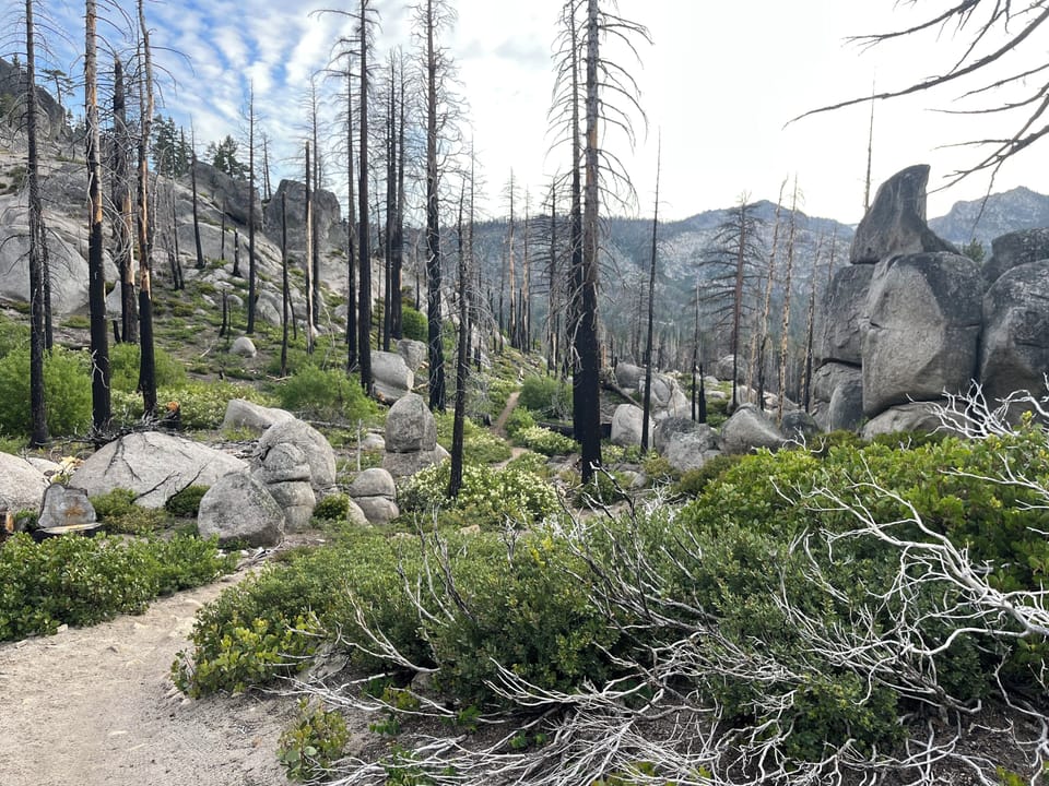 Walk, hike, or bike right from the house into an expansive trail network that includes Cowboy Hat Rock, Corral, Sidewinder, Armstrong Connector, Mr.Toads Wild Ride, and Saxon Creek and more. 