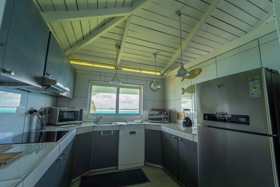 THE KITCHEN WITH COOKTOP+MICROWAVE+OVEN+FRIDGE+DISHWASHER+BLENDER+COFFE MACHINE