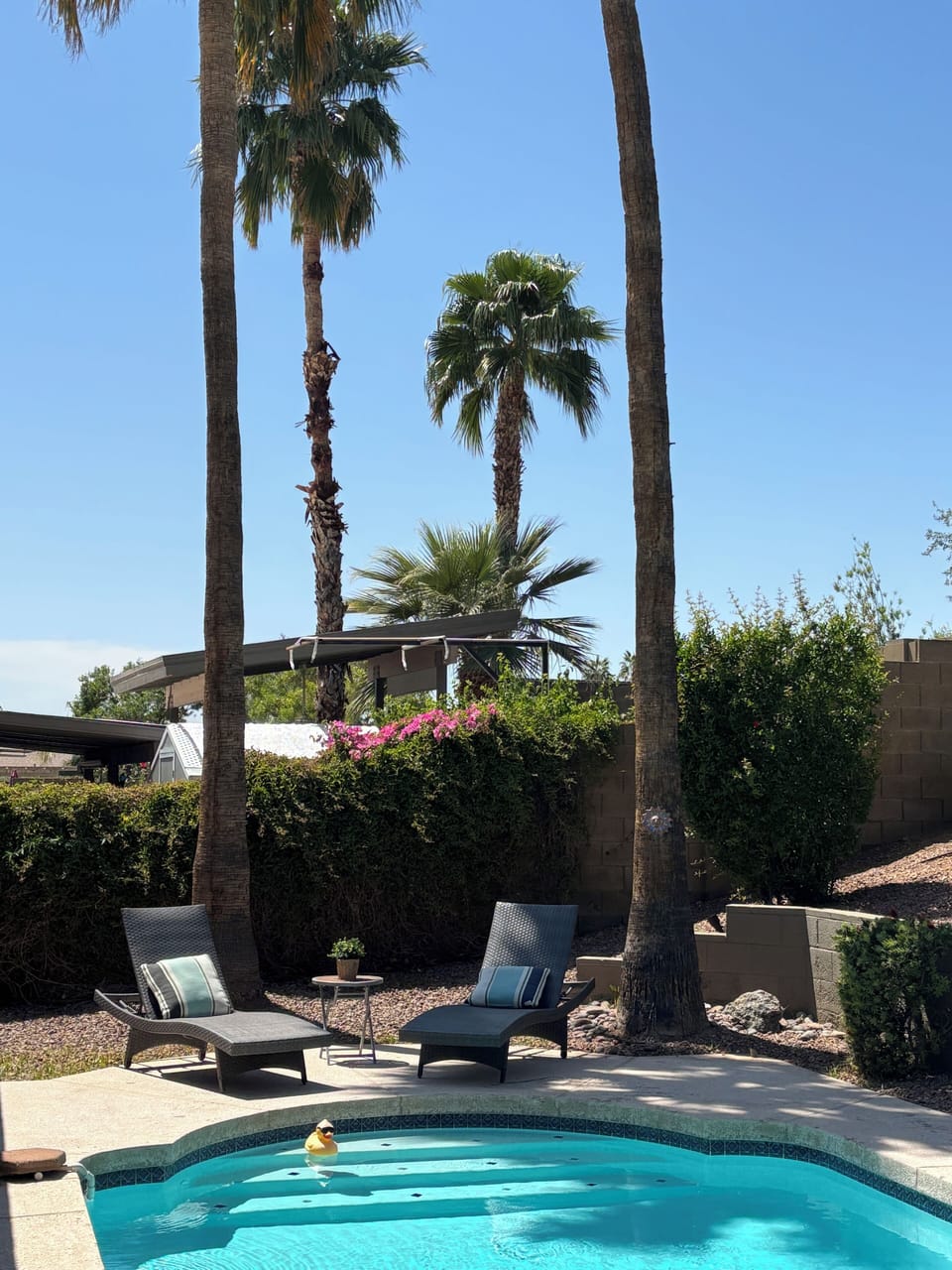 Lounge in the AZ sun poolside in our backyard.