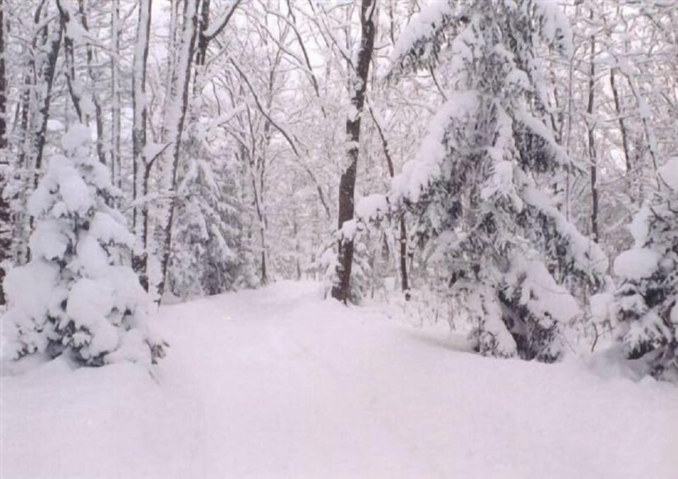 A winter wonderland awaits you!