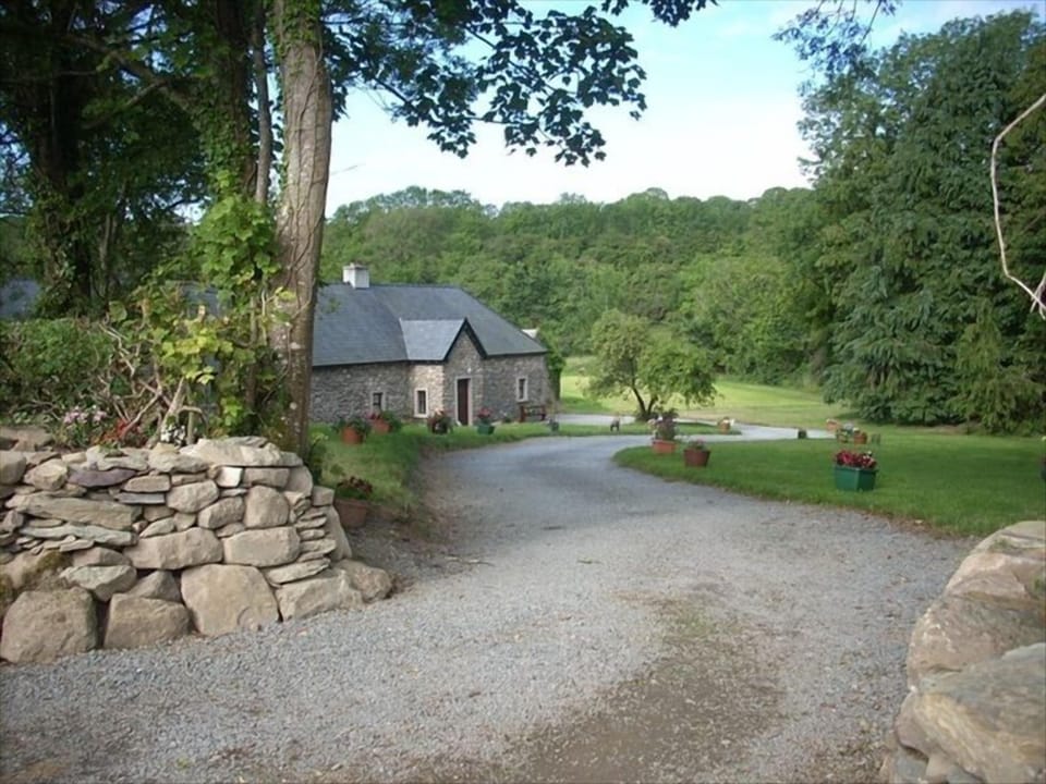 Experience Ireland like the Irish