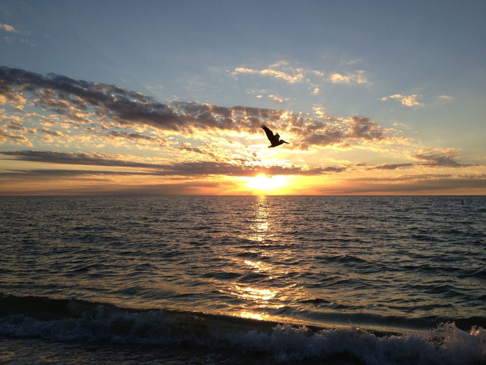 Delnor Wiggins State Park Beach, only 1.4 mi from our Sunset Cottage.
