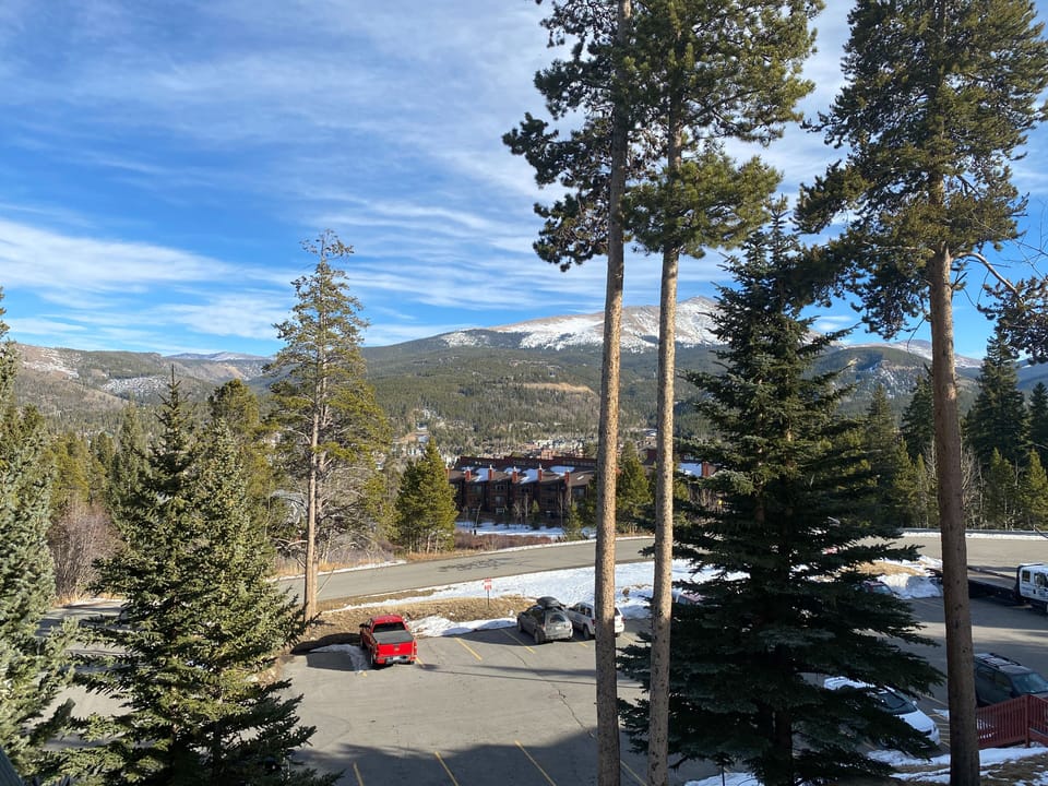 View of 4'Oclock Run Ski Trail - other side of the street