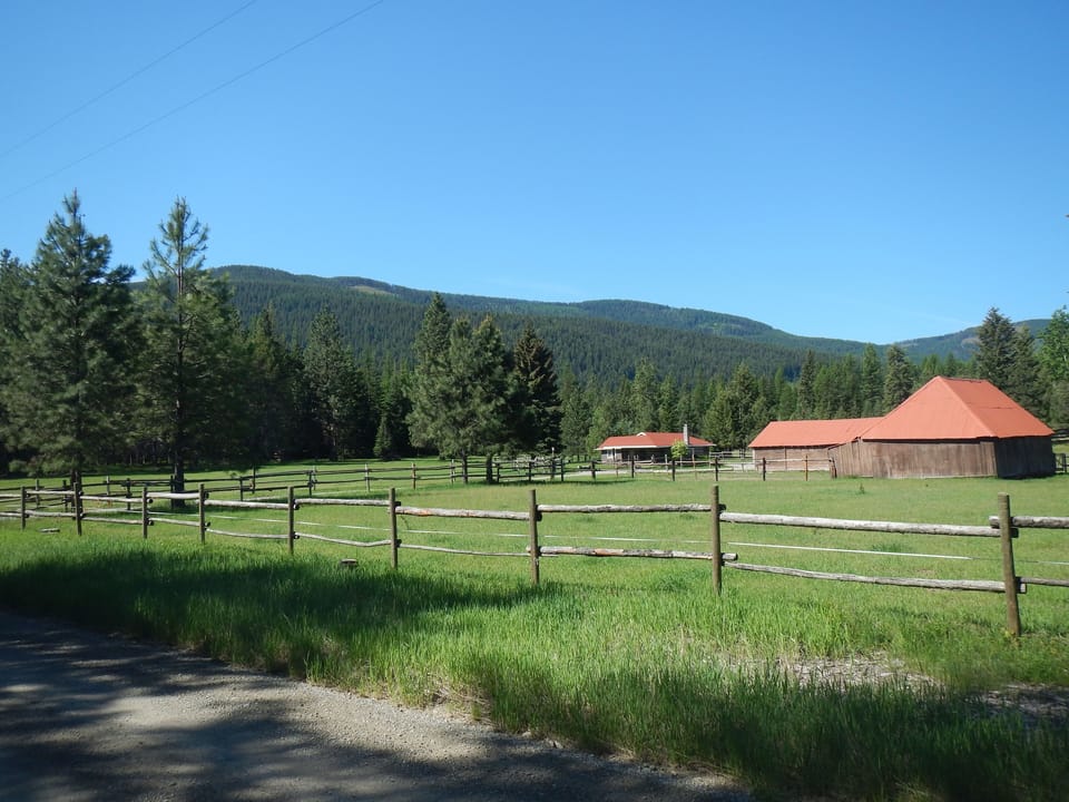 Horse pasture in front of the homestead
