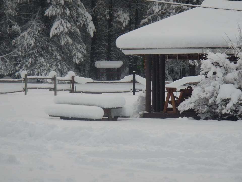 Winter 2015