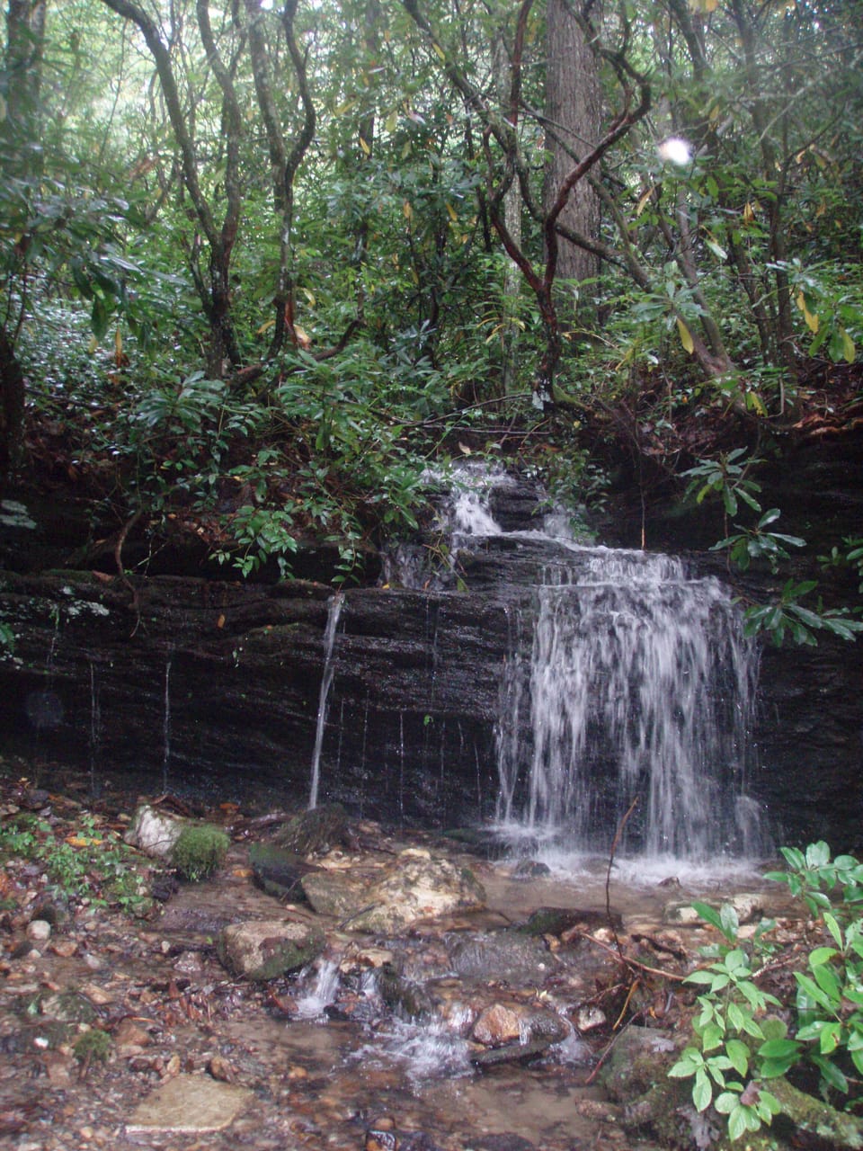 Waterfall on property
