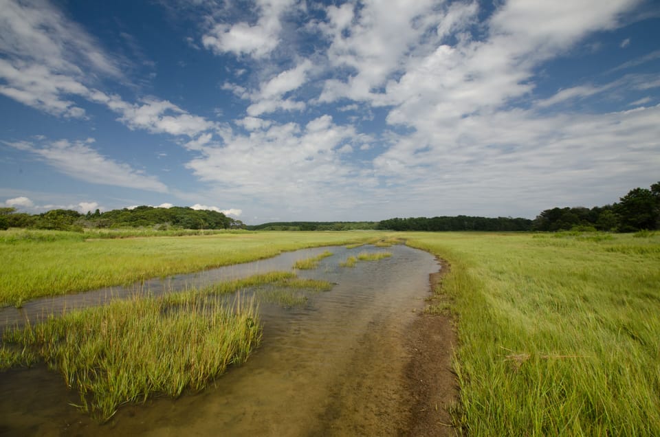 Mass Audubon Wellfleet Sanctuary , great for hiking and exploring 
