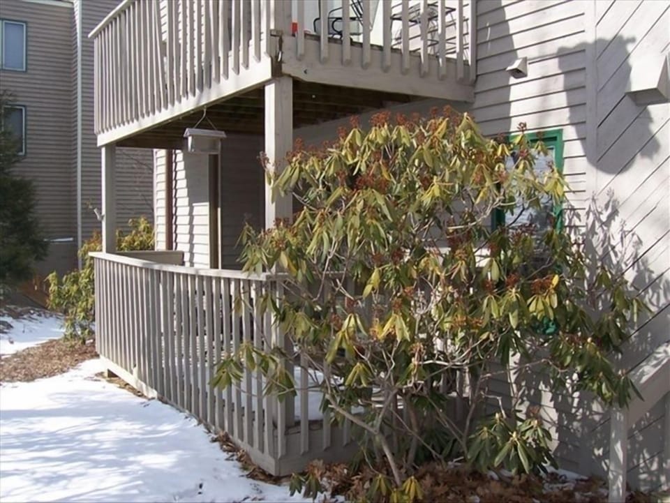 Outside Deck 