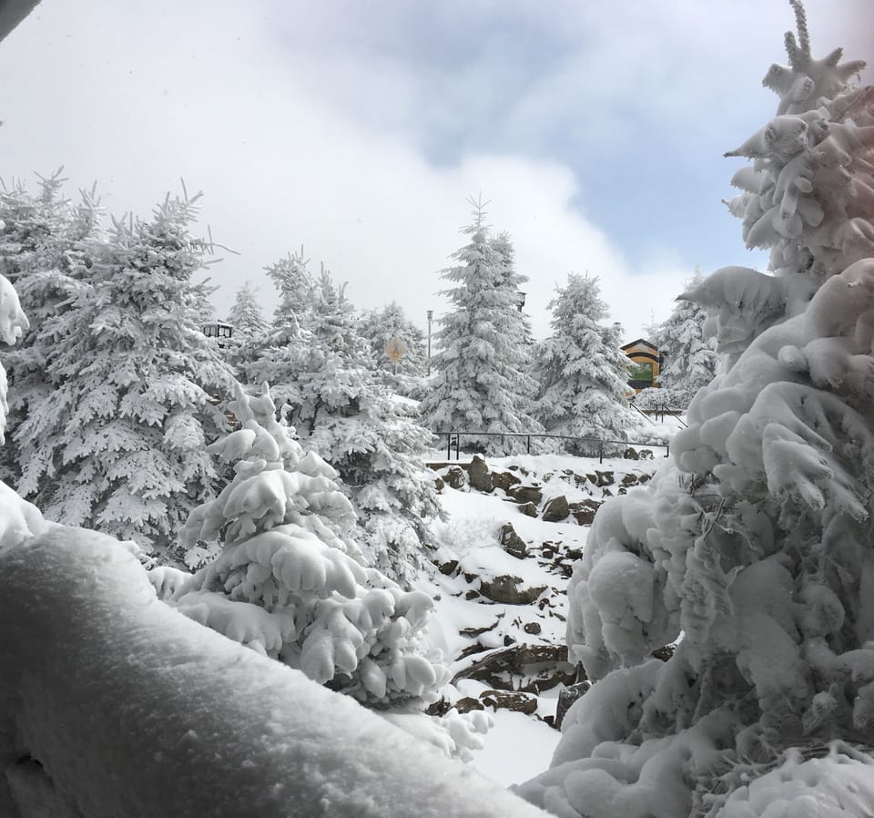 Snowy view from our deck