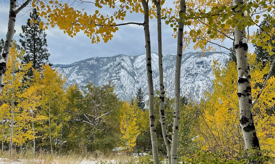 Views during autumn...