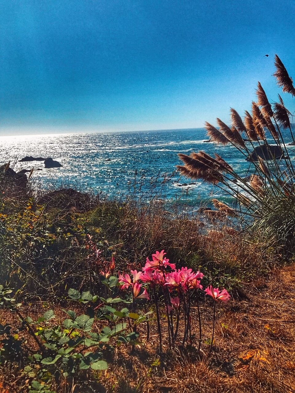 Beauty is all around!